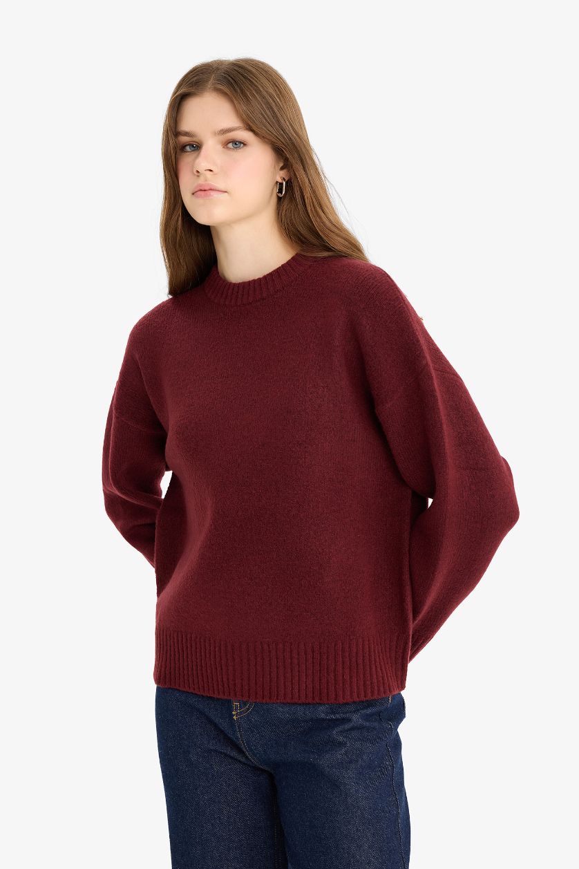 FEMME Bordeaux Pull à col rond Coupe oversize