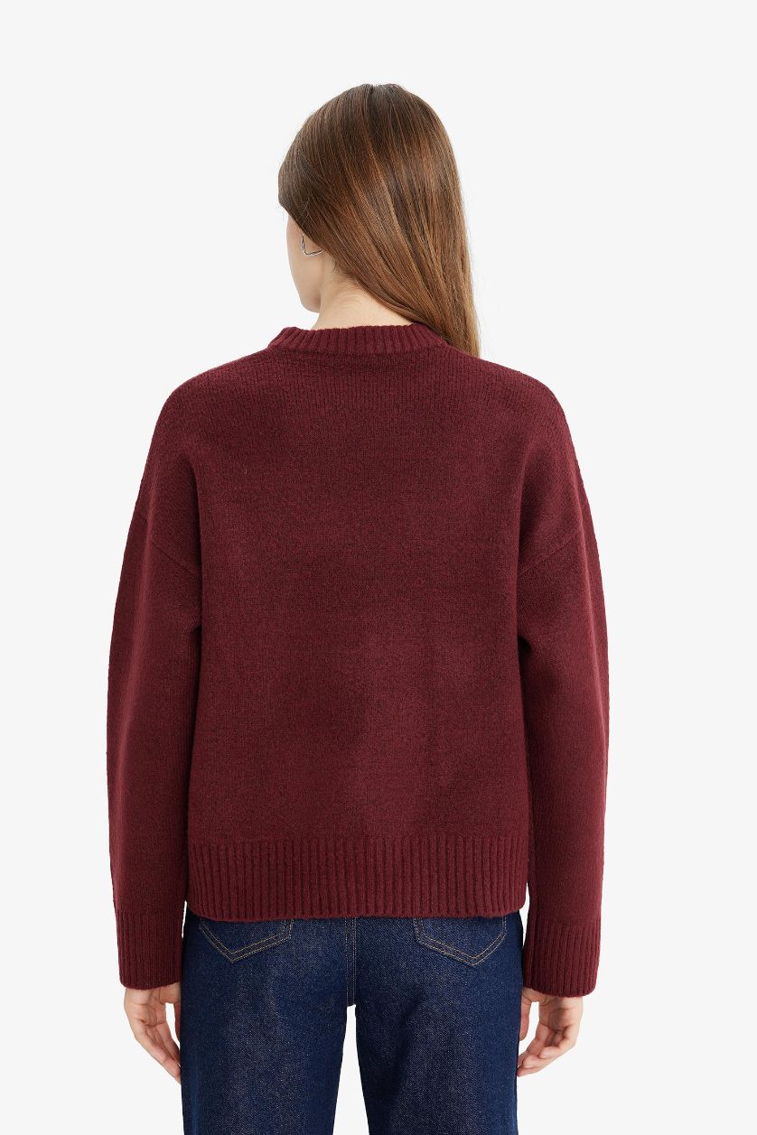 FEMME Bordeaux Pull à col rond Coupe oversize