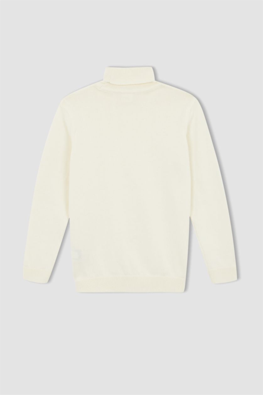 BOYS & TEENS Beige Boy Regular Fit Turtleneck Pullover