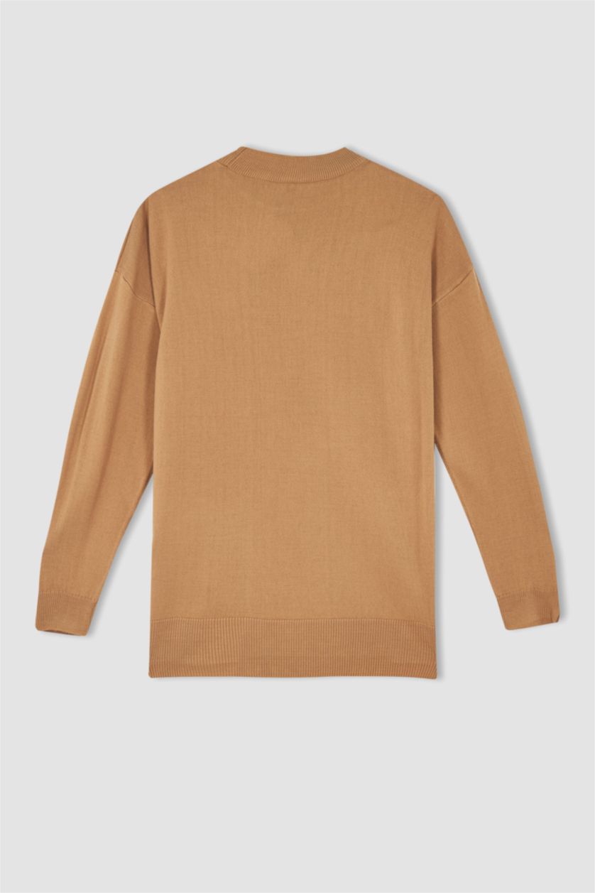 WOMAN Beige Regular Fit Half Turtleneck Tunic