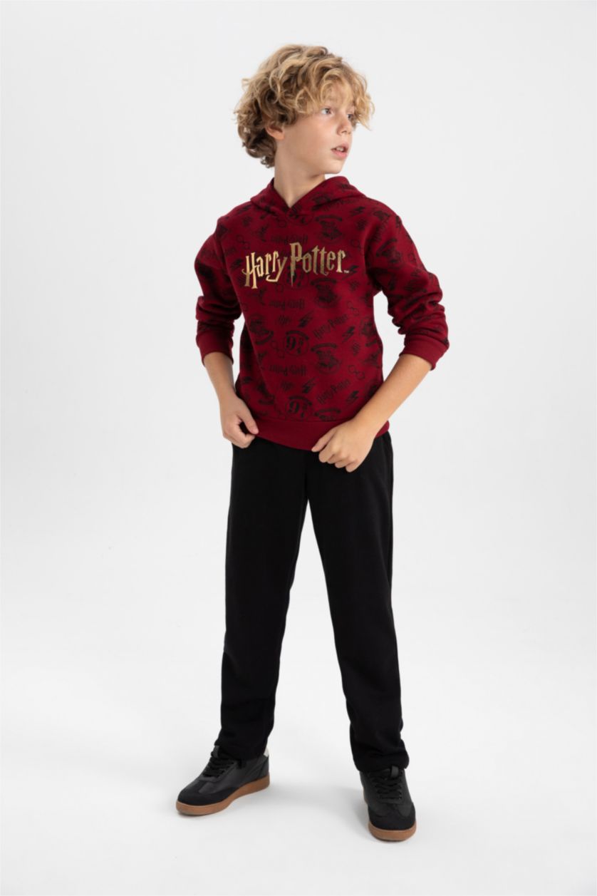 أولاد خمري سويت شيرت ولادي قصة عادية بغطاء للرأس من هاري بوتر