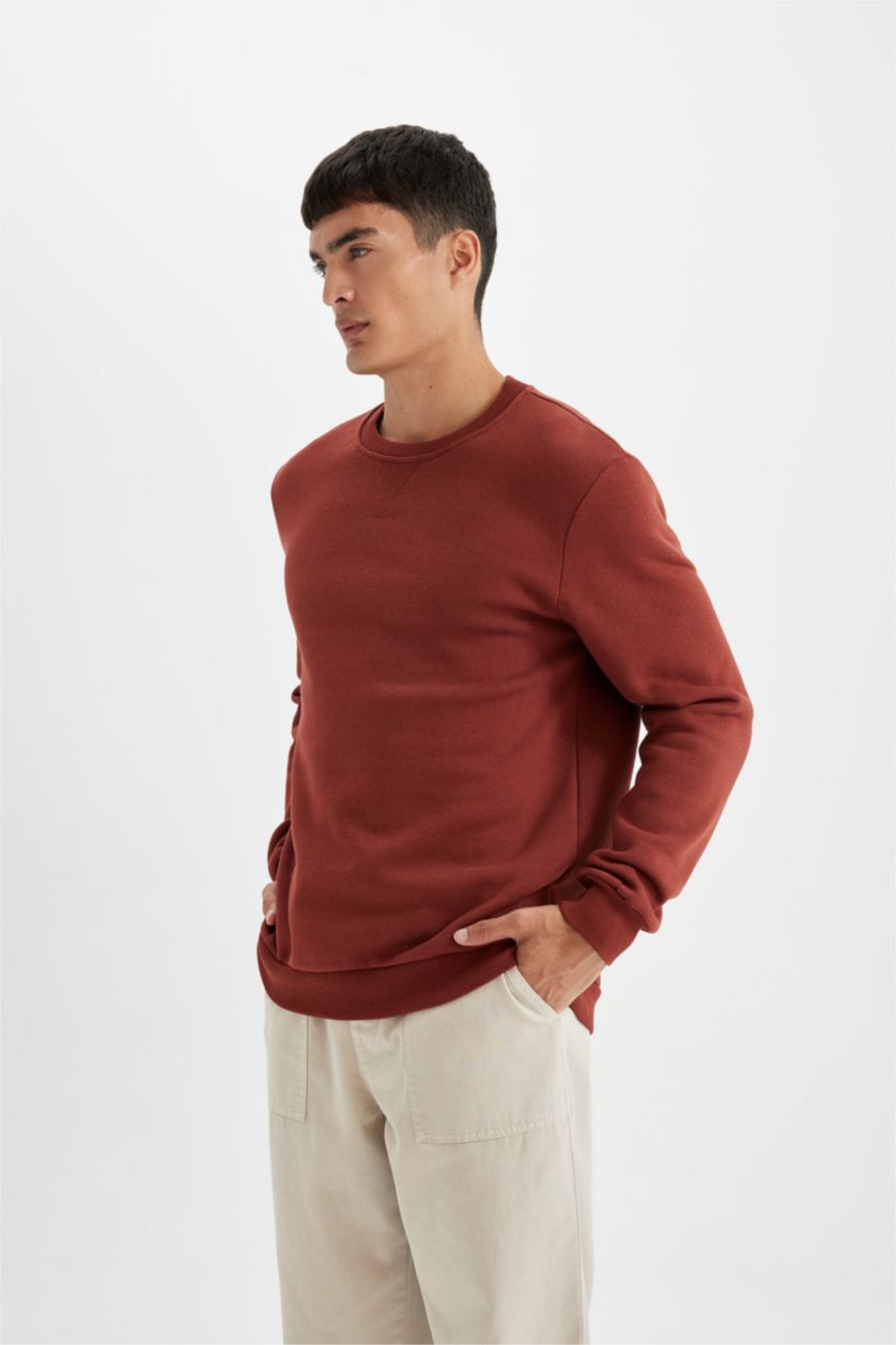 MAN Brown Regular Fit Sweatshirt