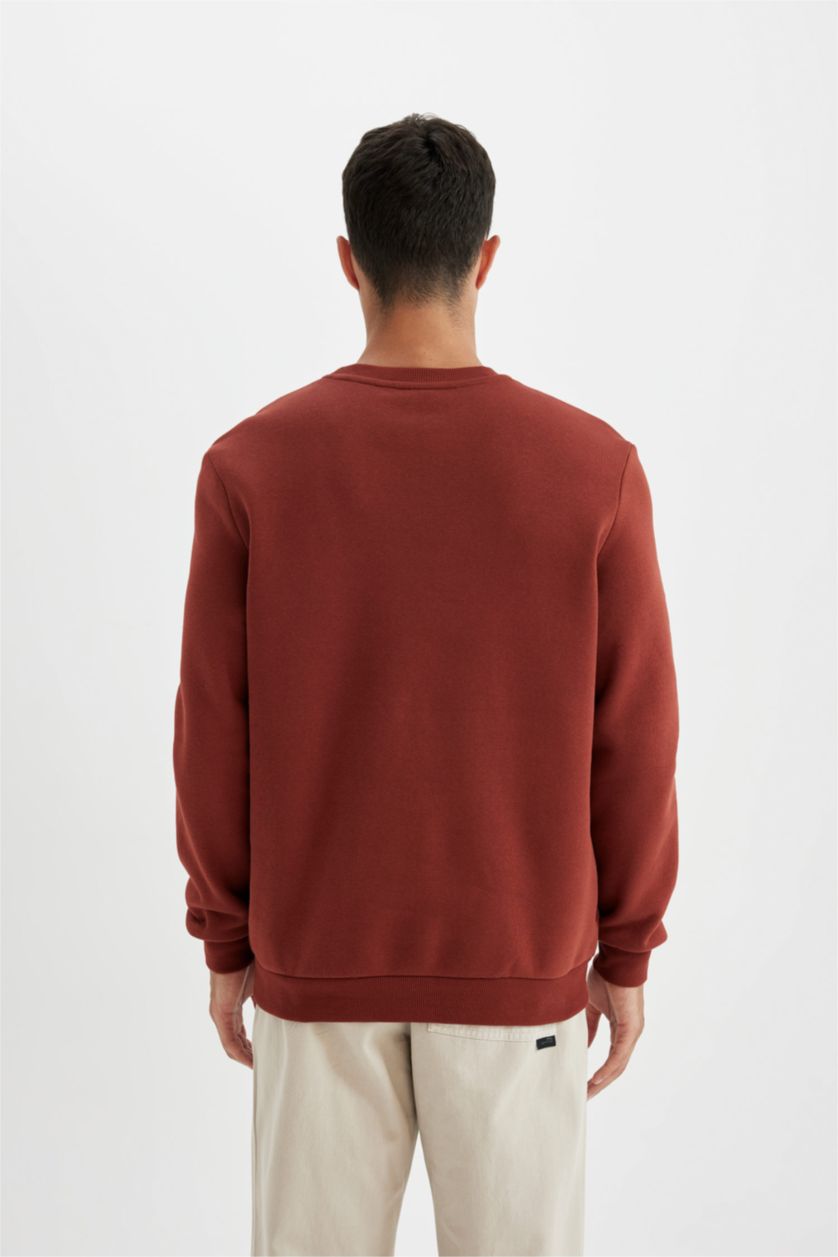 MAN Brown Regular Fit Sweatshirt