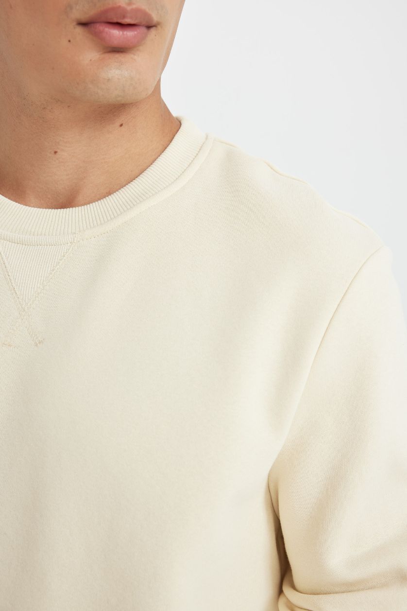 Erkek Ekru Regular Fit Bisiklet Yaka Kalın Basic Düz Sweatshirt