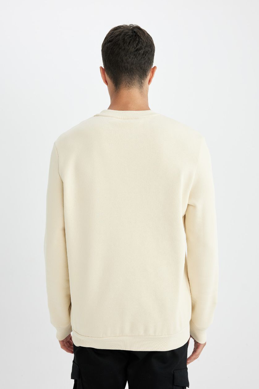 Erkek Ekru Regular Fit Bisiklet Yaka Kalın Basic Düz Sweatshirt