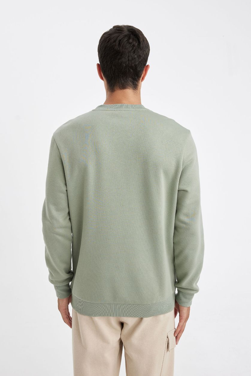 Erkek Açık Yeşil Regular Fit Bisiklet Yaka Kalın Basic Düz Sweatshirt