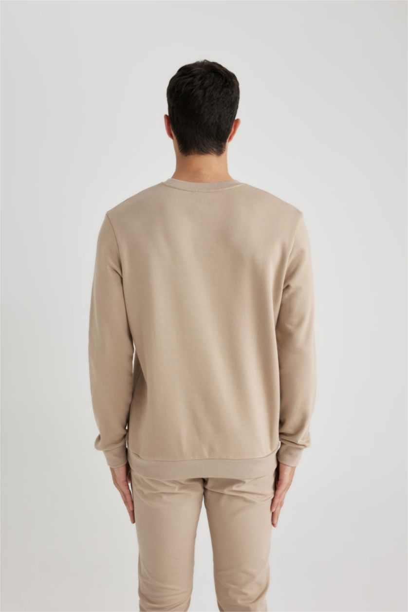 HOMME Beige Sweat-shirt en coton basique à Col rond et à coupe régulière