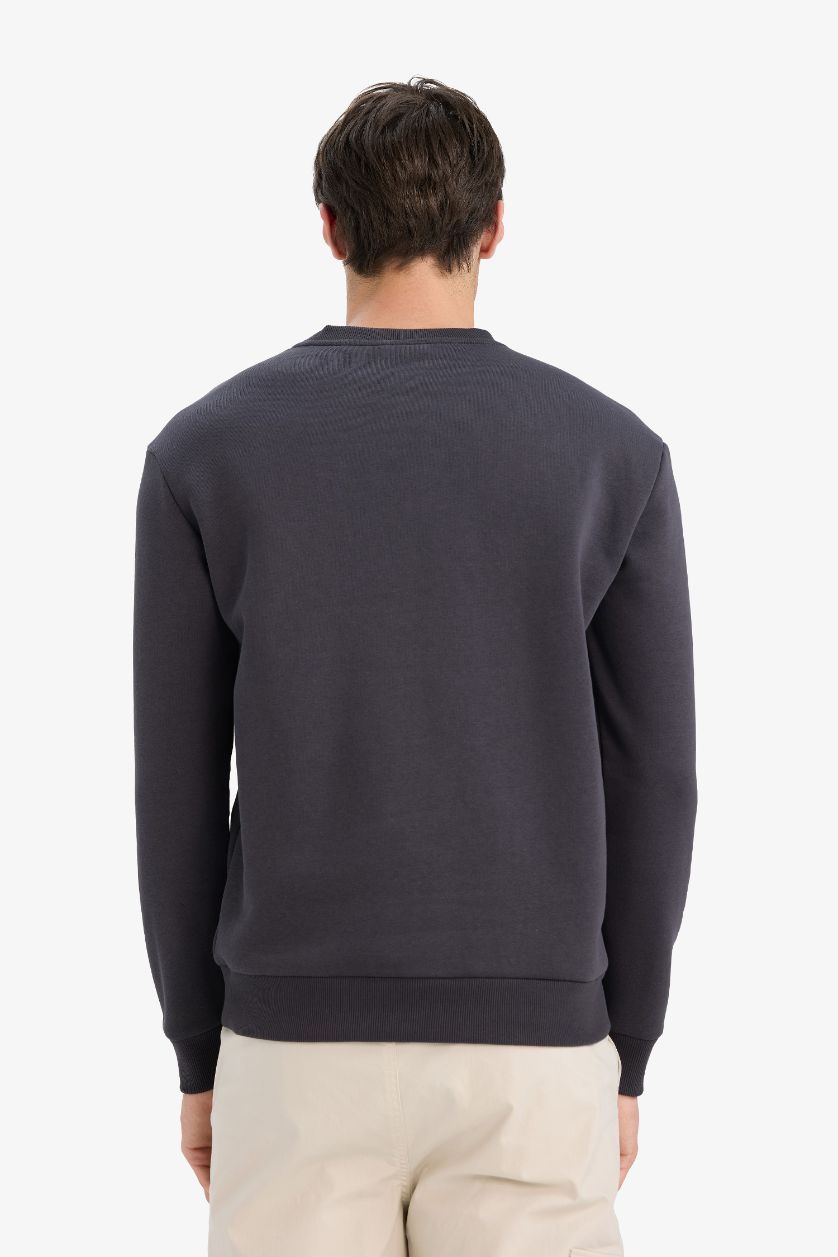 Erkek Koyu Antrasit Regular Fit Bisiklet Yaka Basic Düz Kalın Sweatshirt