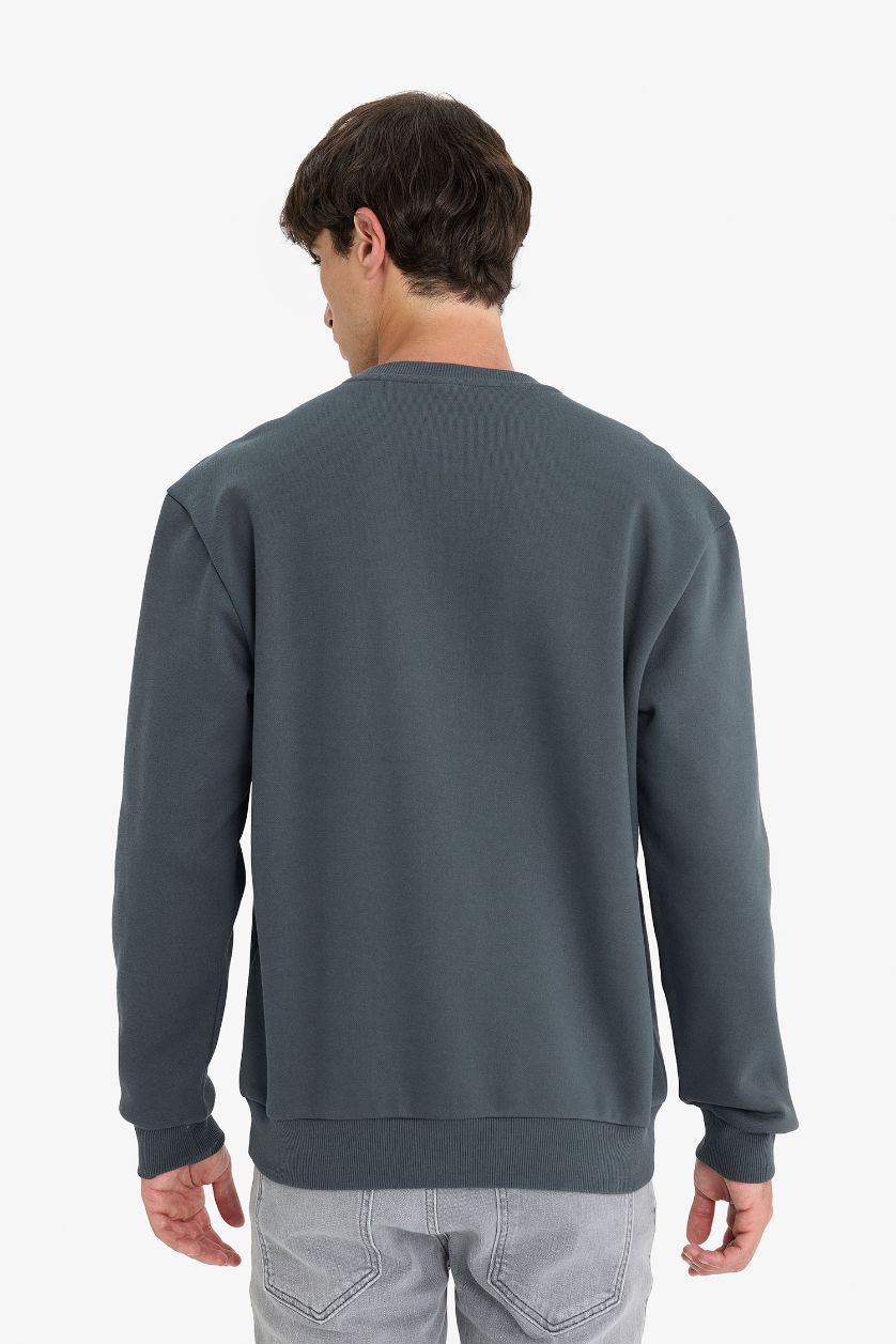 Man Anthracite Regular Fit Sweatshirt
