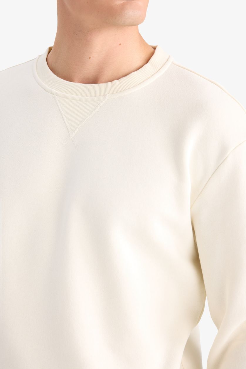 Erkek Ekru Regular Fit Bisiklet Yaka Basic Düz Kalın Sweatshirt