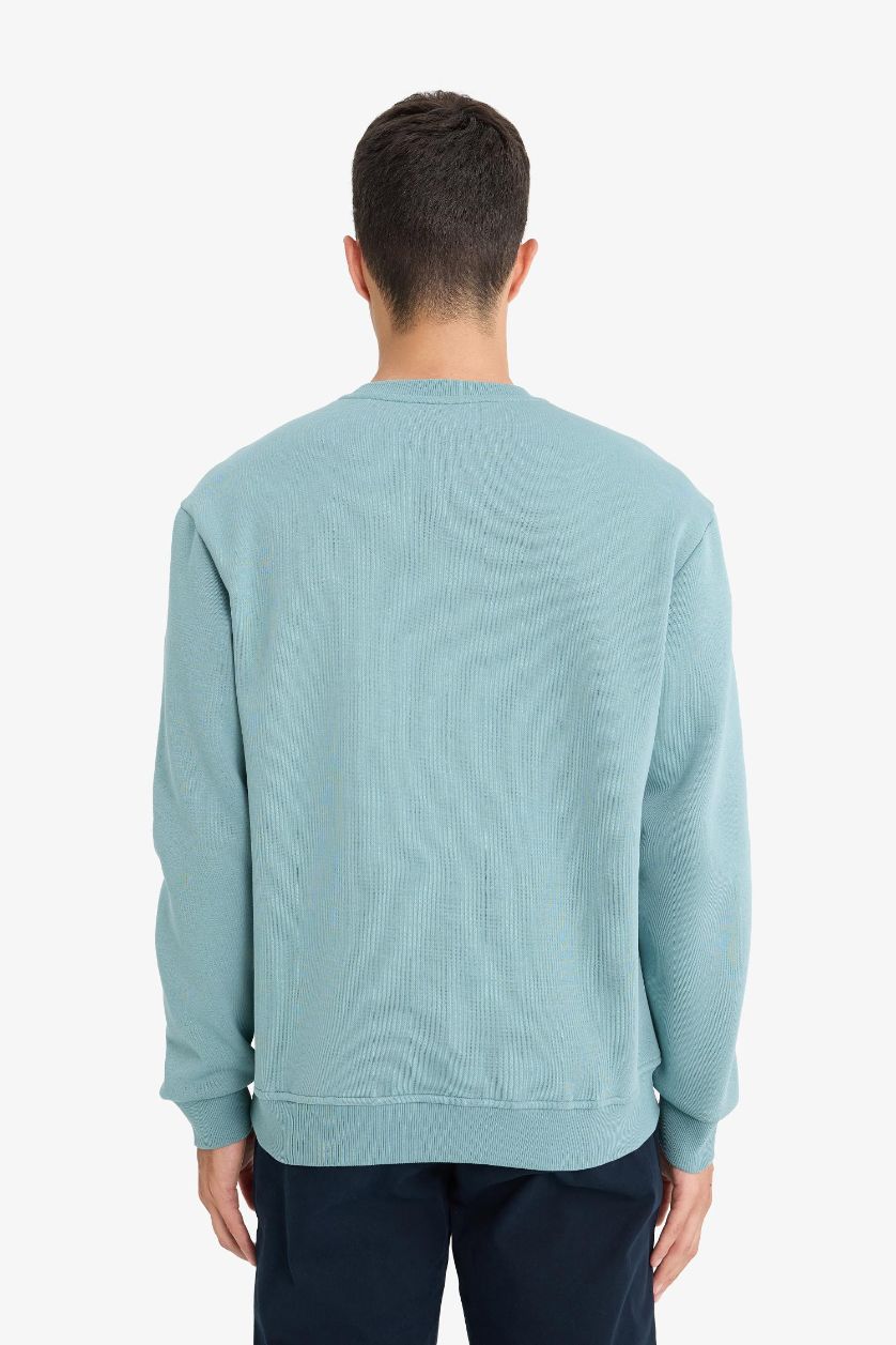 HOMME Vert Clair Sweatshirt basique épais à col rond Coupe régulière