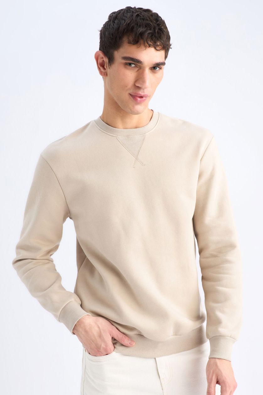 Erkek Taş Regular Fit Bisiklet Yaka Kalın Basic Düz Sweatshirt