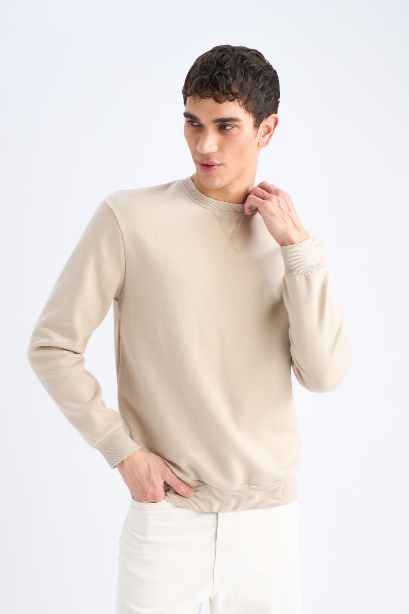 Erkek Taş Regular Fit Bisiklet Yaka Kalın Basic Düz Sweatshirt