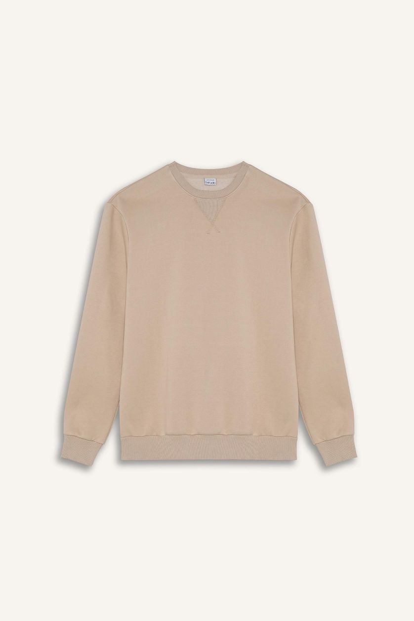 Erkek Taş Regular Fit Bisiklet Yaka Kalın Basic Düz Sweatshirt