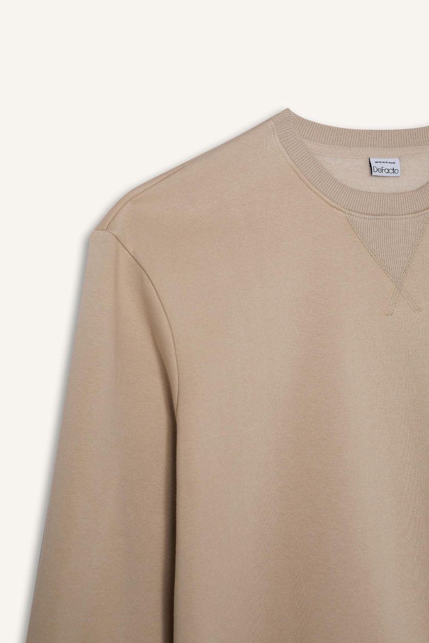 Erkek Taş Regular Fit Bisiklet Yaka Kalın Basic Düz Sweatshirt