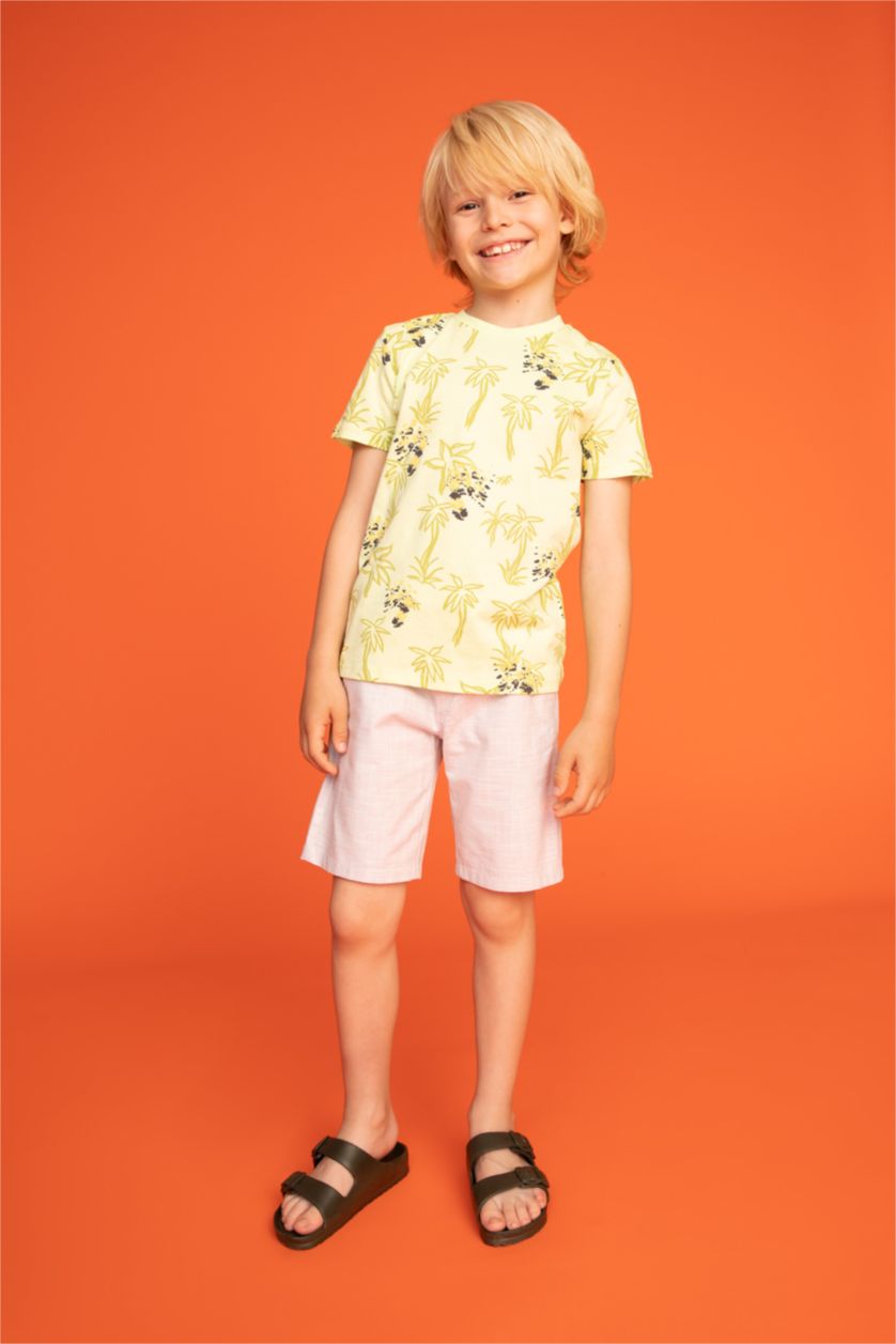 أولاد كاكي شبشب ولادي إيفا