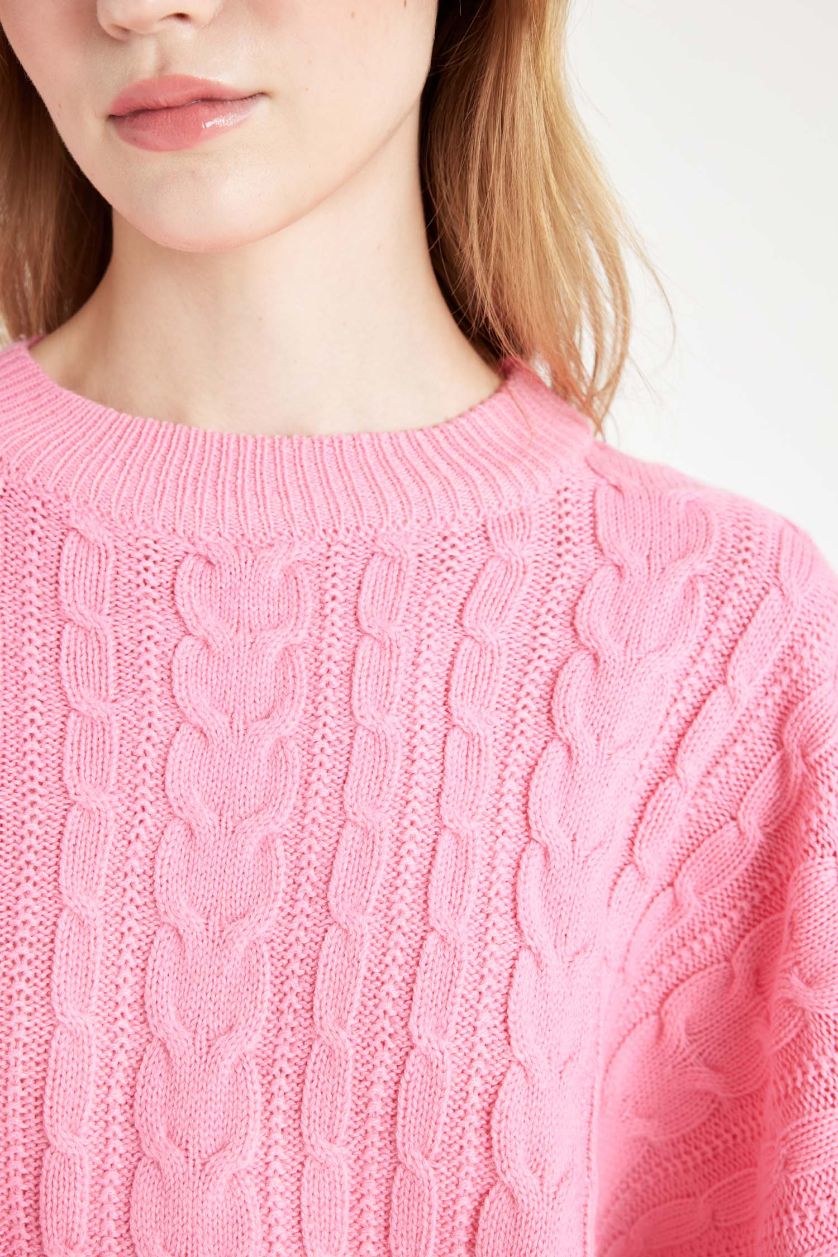 Kadın Pembe Regular Fit Crop Bisiklet Yaka Saç Örgülü Triko Kazak