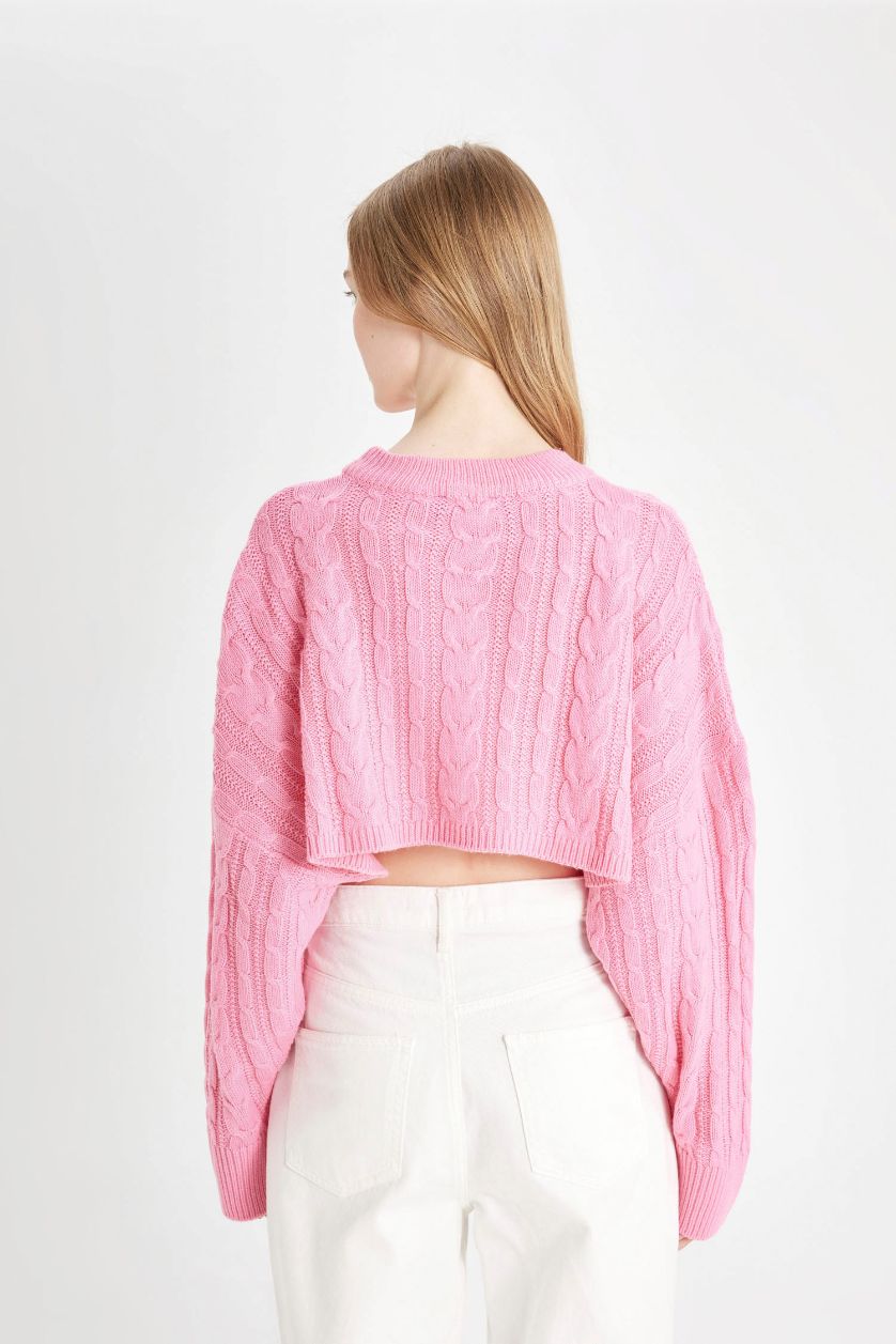 Kadın Pembe Regular Fit Crop Bisiklet Yaka Saç Örgülü Triko Kazak