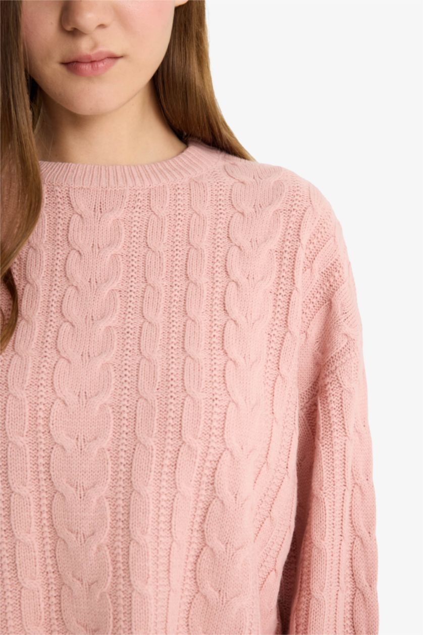 Kadın Pembe Regular Fit Bisiklet Yaka Triko Kazak