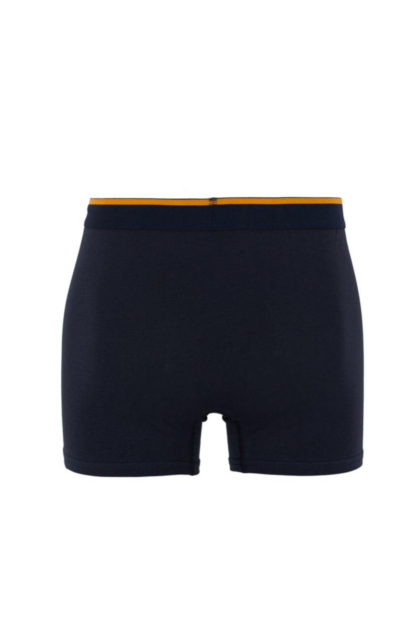 Erkek Lacivert Regular Fıt 3'lü Boxer
