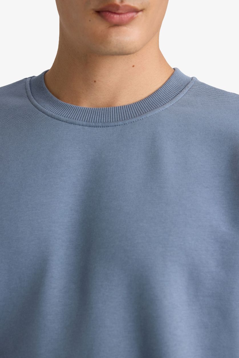 Erkek Gri Relax Fit Bisiklet Yaka Kalın İçi Yumuşak Tüylü Basic Düz Sweatshirt