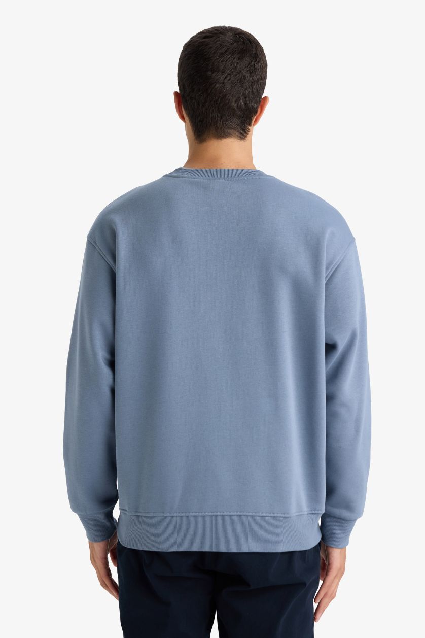 Erkek Gri Relax Fit Bisiklet Yaka Kalın İçi Yumuşak Tüylü Basic Düz Sweatshirt