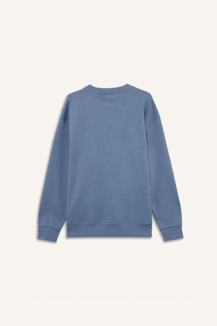 Erkek Gri Relax Fit Bisiklet Yaka Kalın İçi Yumuşak Tüylü Basic Düz Sweatshirt