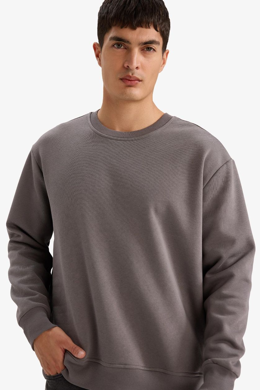 Erkek Gri Relax Fit Bisiklet Yaka Kalın İçi Yumuşak Tüylü Basic Düz Sweatshirt