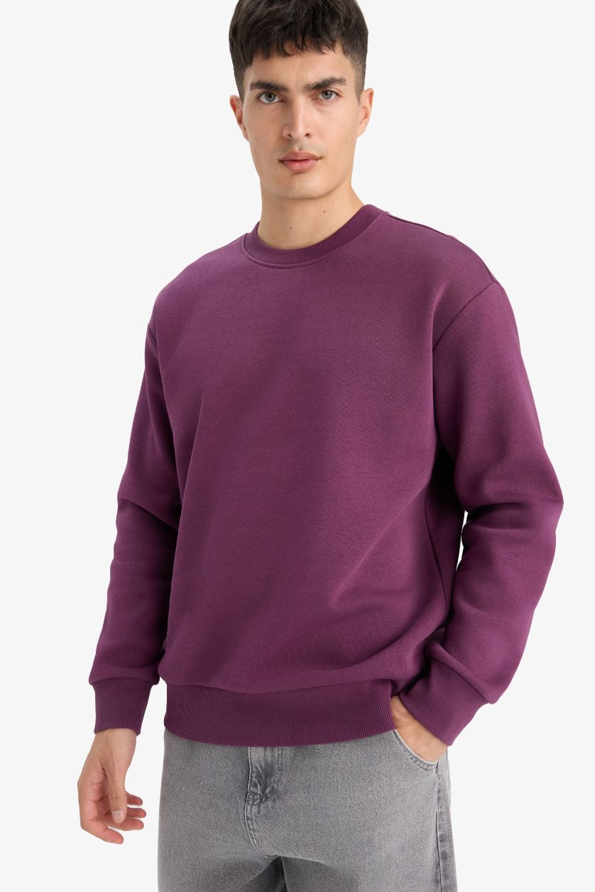 Erkek Mor Relax Fit Bisiklet Yaka Kalın İçi Yumuşak Tüylü Basic Düz Sweatshirt
