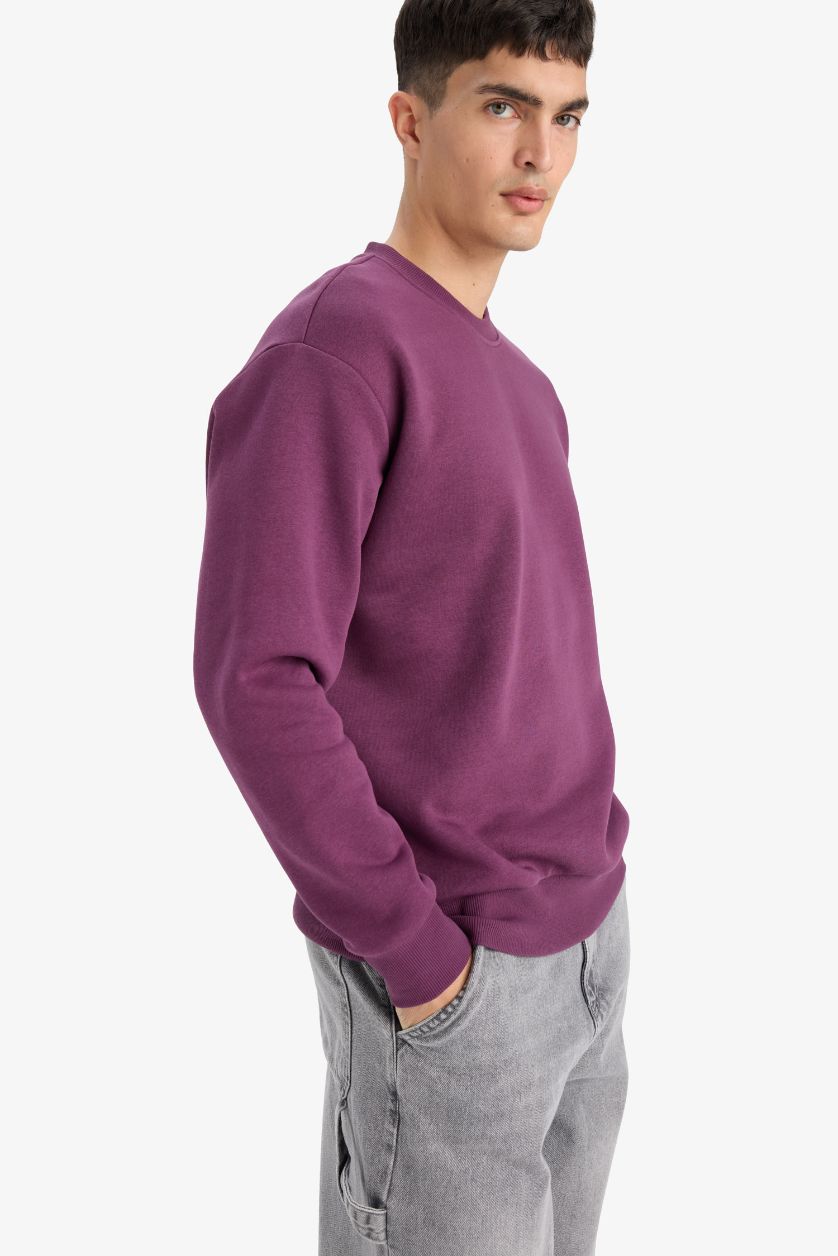 Erkek Mor Relax Fit Bisiklet Yaka Kalın İçi Yumuşak Tüylü Basic Düz Sweatshirt