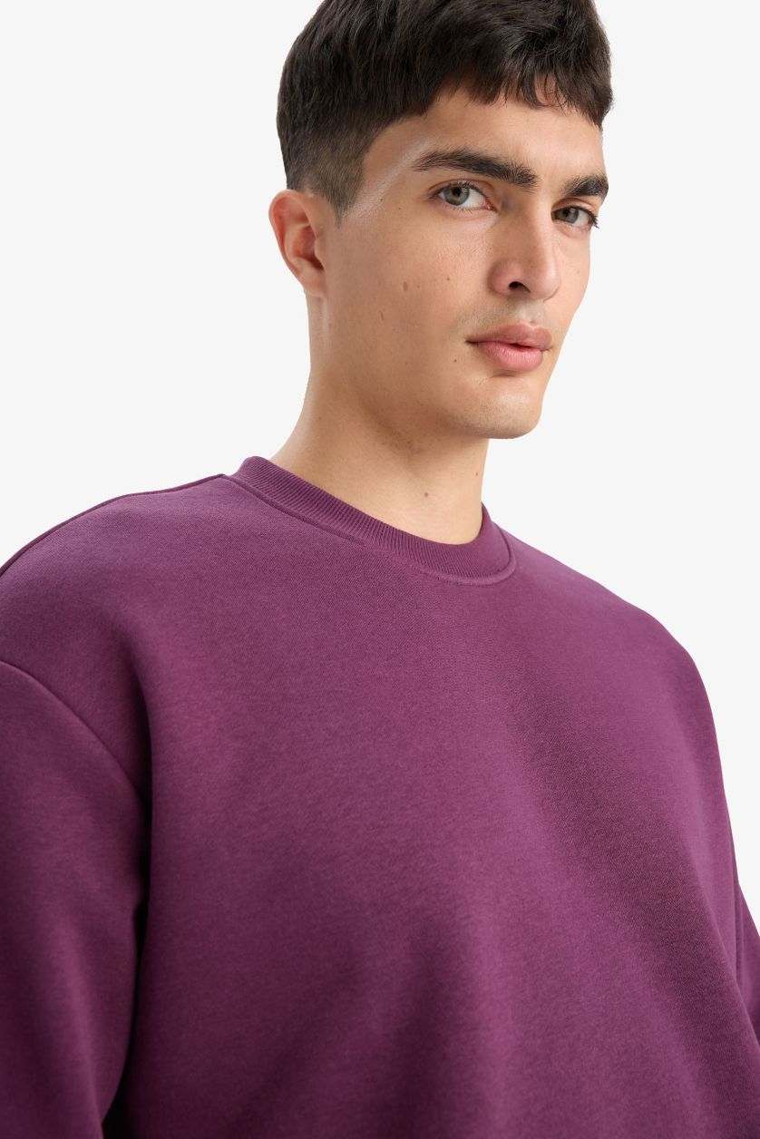 Erkek Mor Relax Fit Bisiklet Yaka Kalın İçi Yumuşak Tüylü Basic Düz Sweatshirt