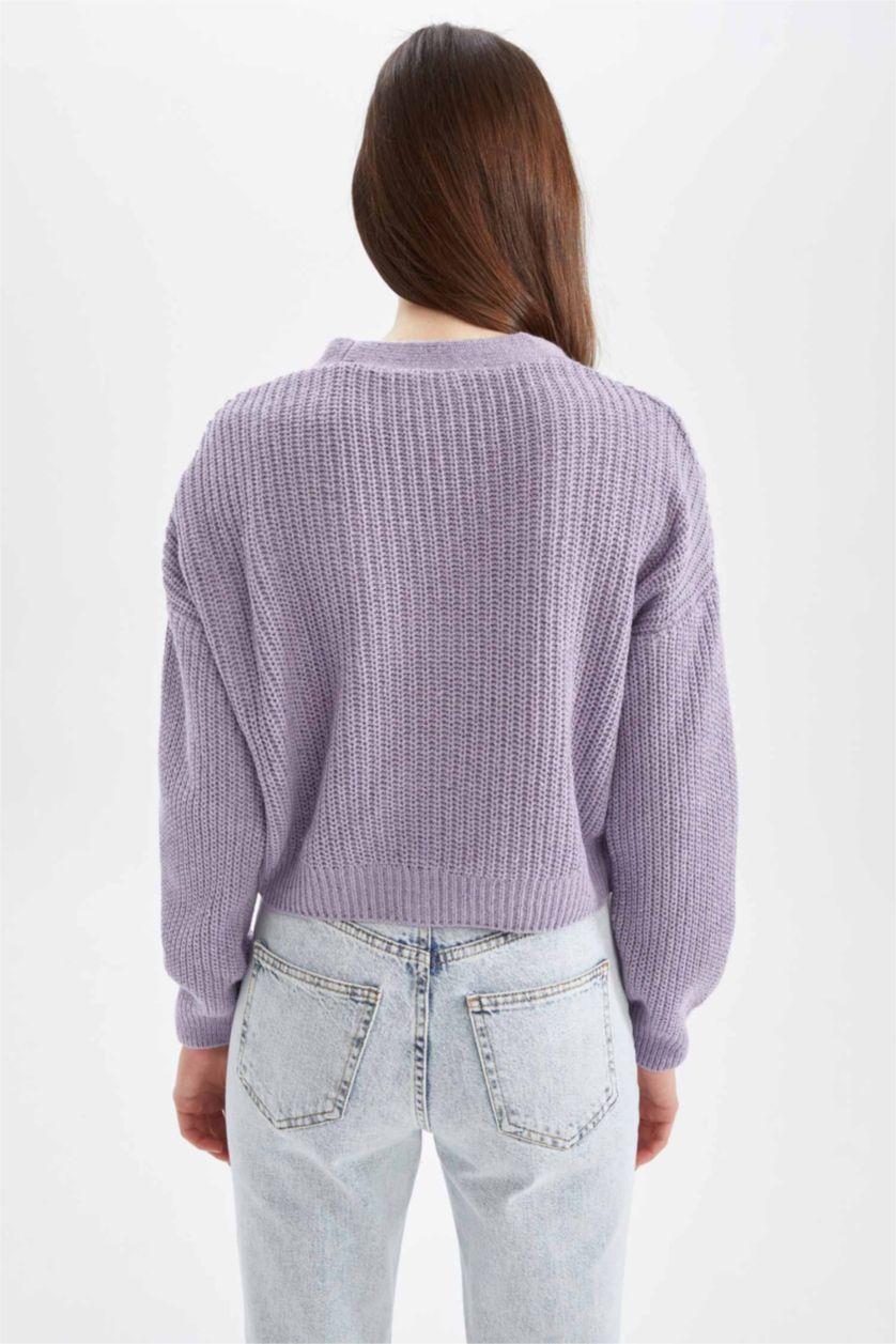 WOMAN Light Lilac Regular Fit V Neck Reversible Buttoned Knitwear Cardigan