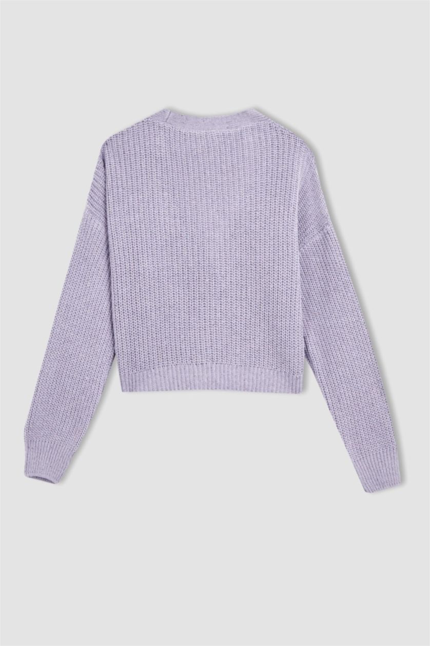 WOMAN Light Lilac Regular Fit V Neck Reversible Buttoned Knitwear Cardigan