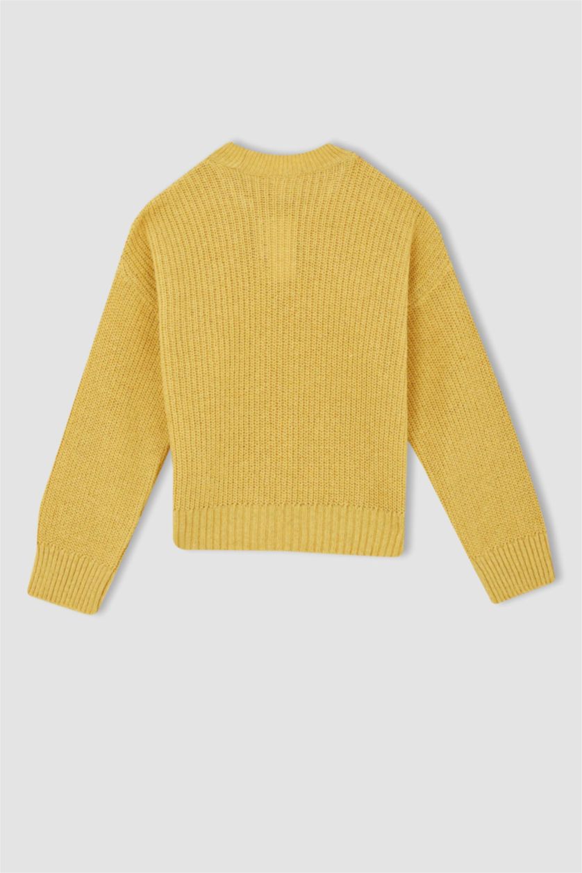 Kız Çocuk - Genç Kız Sarı Kız Çocuk Regular Fit Bisiklet Yaka  Kazak