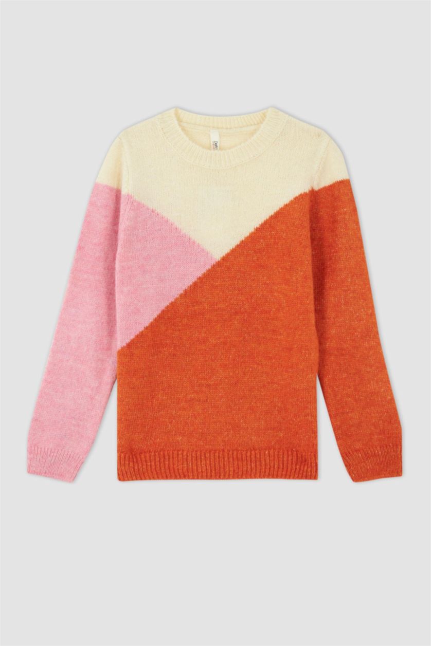 Girls & Teens Orange Girl Regular Fit Crew Neck Pullover