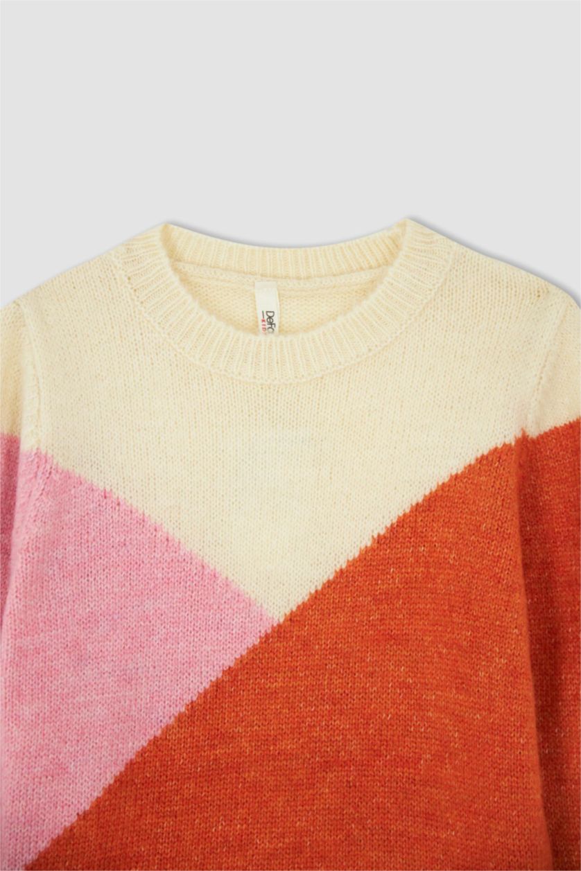 Girls & Teens Orange Girl Regular Fit Crew Neck Pullover