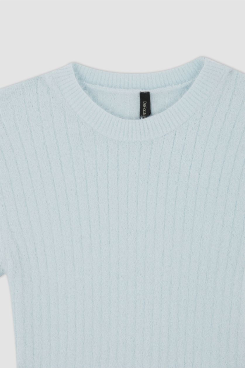 WOMAN Lilac Slim Fit Pullover