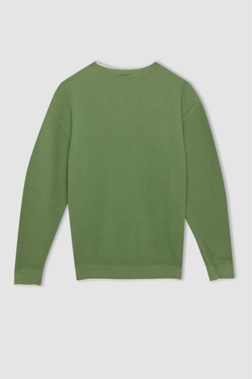 BOYS & TEENS Light Green Boy Crew Neck Cotton Basic Knitted Pullover