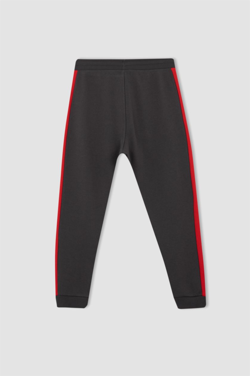 Erkek Antrasit Regular Fit Kalın Sweatshirt Kumaşı Jogger