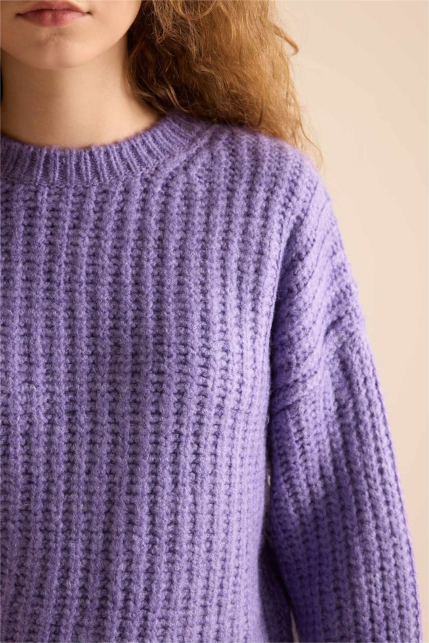 Women Dark Lilac Oversize Fit Knitwear Pullover