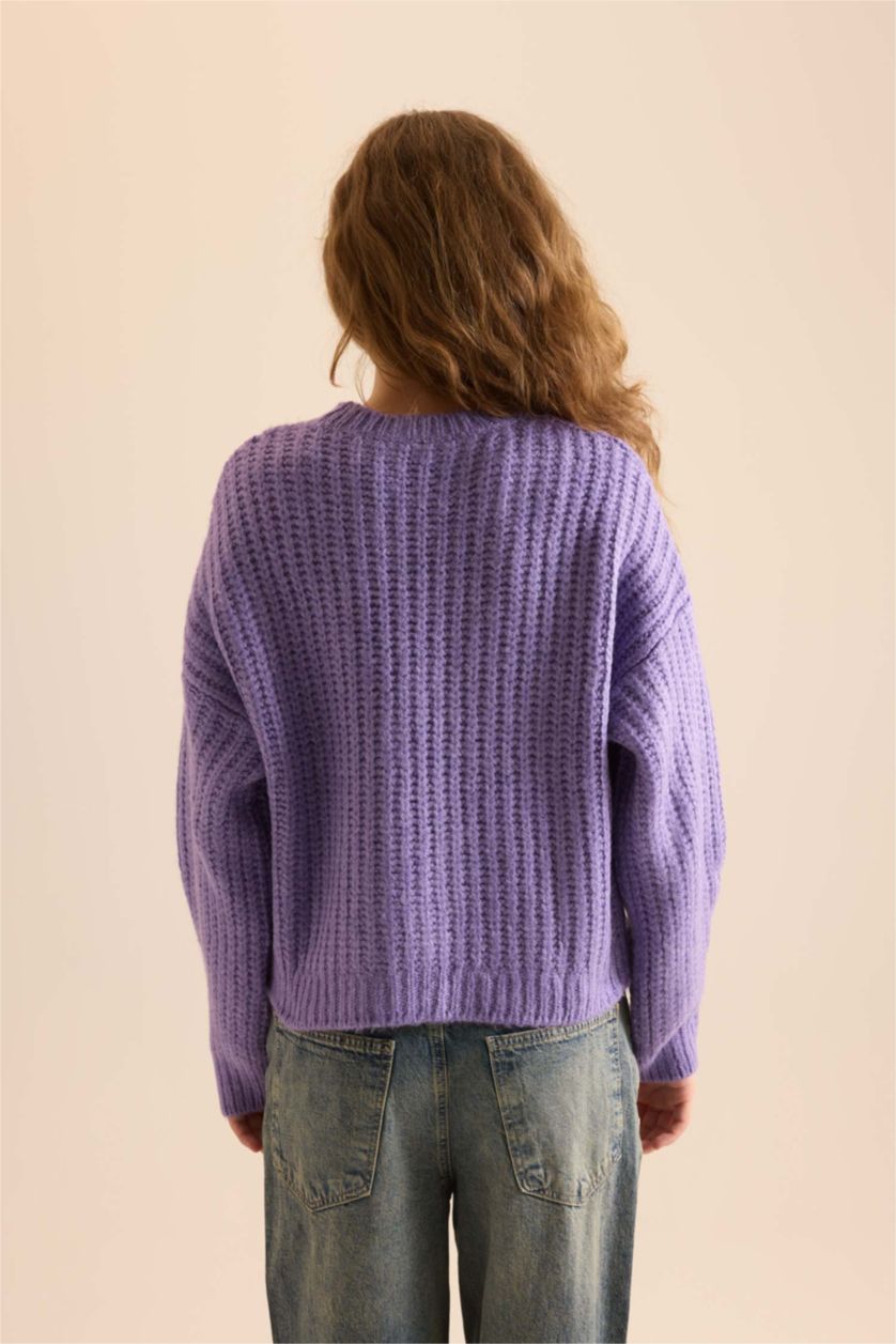 Women Dark Lilac Oversize Fit Knitwear Pullover