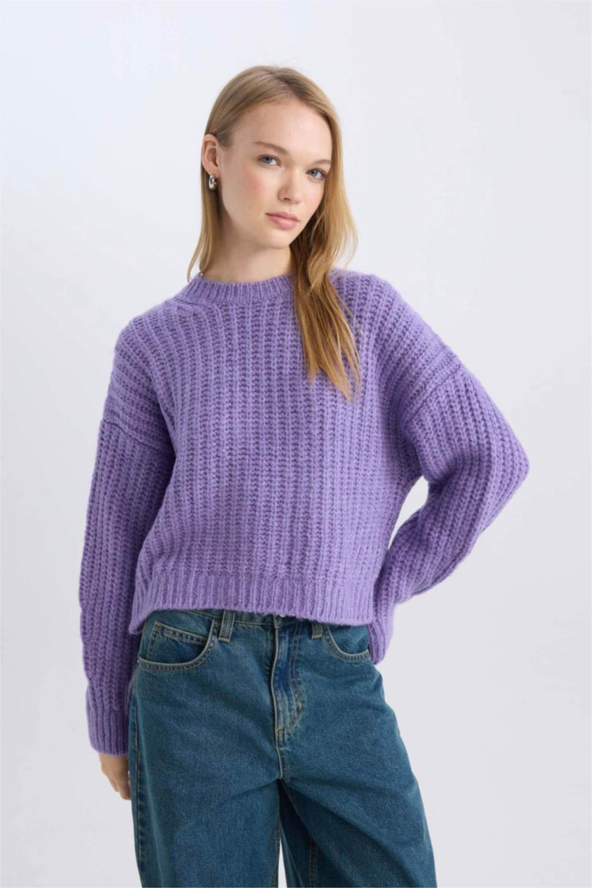 Women Dark Lilac Oversize Fit Knitwear Pullover