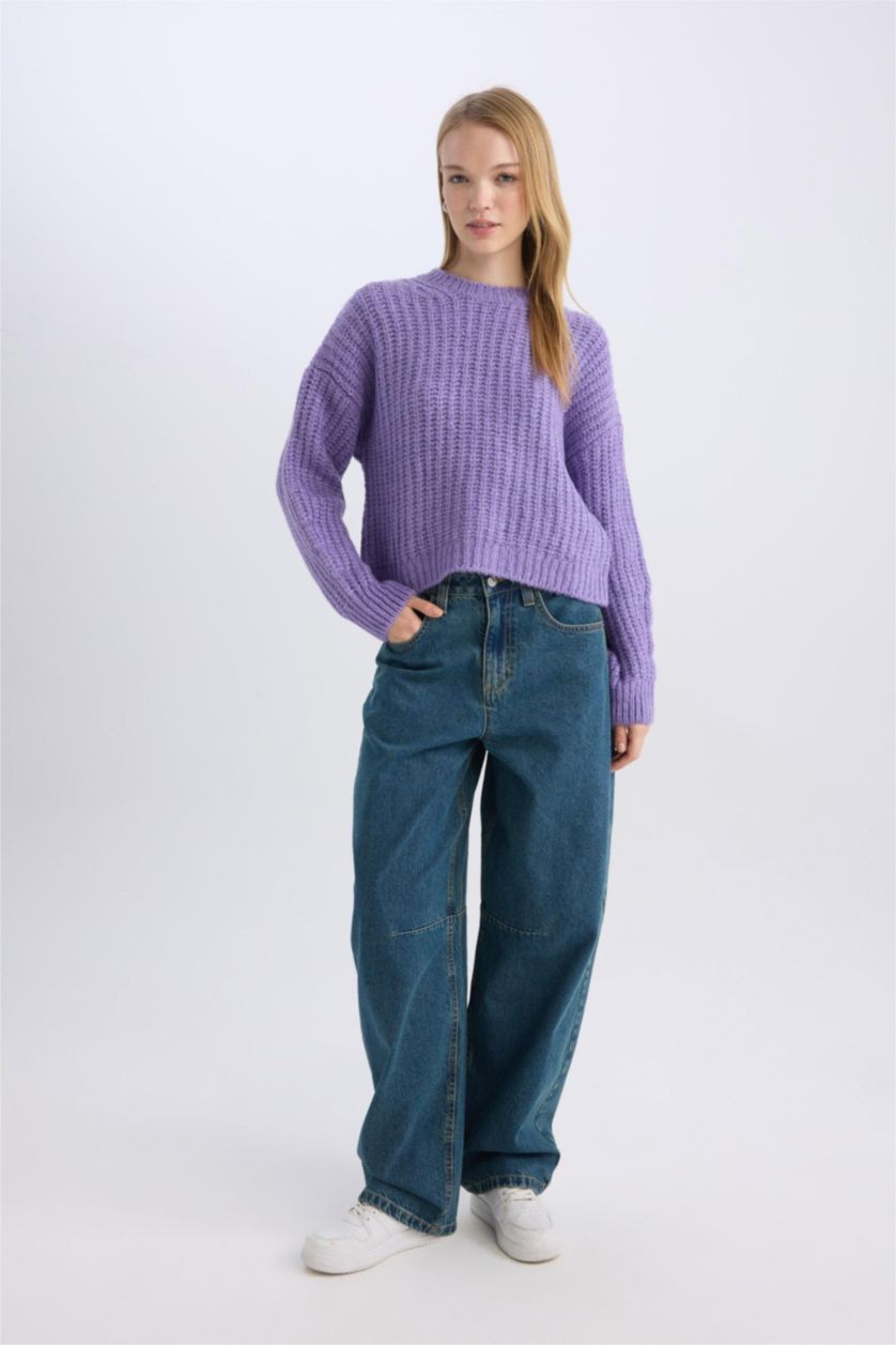 Women Dark Lilac Oversize Fit Knitwear Pullover