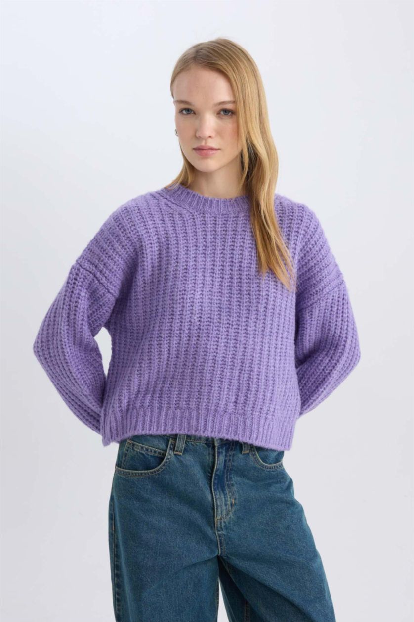 Women Dark Lilac Oversize Fit Knitwear Pullover