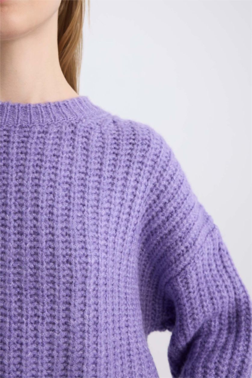 Women Dark Lilac Oversize Fit Knitwear Pullover