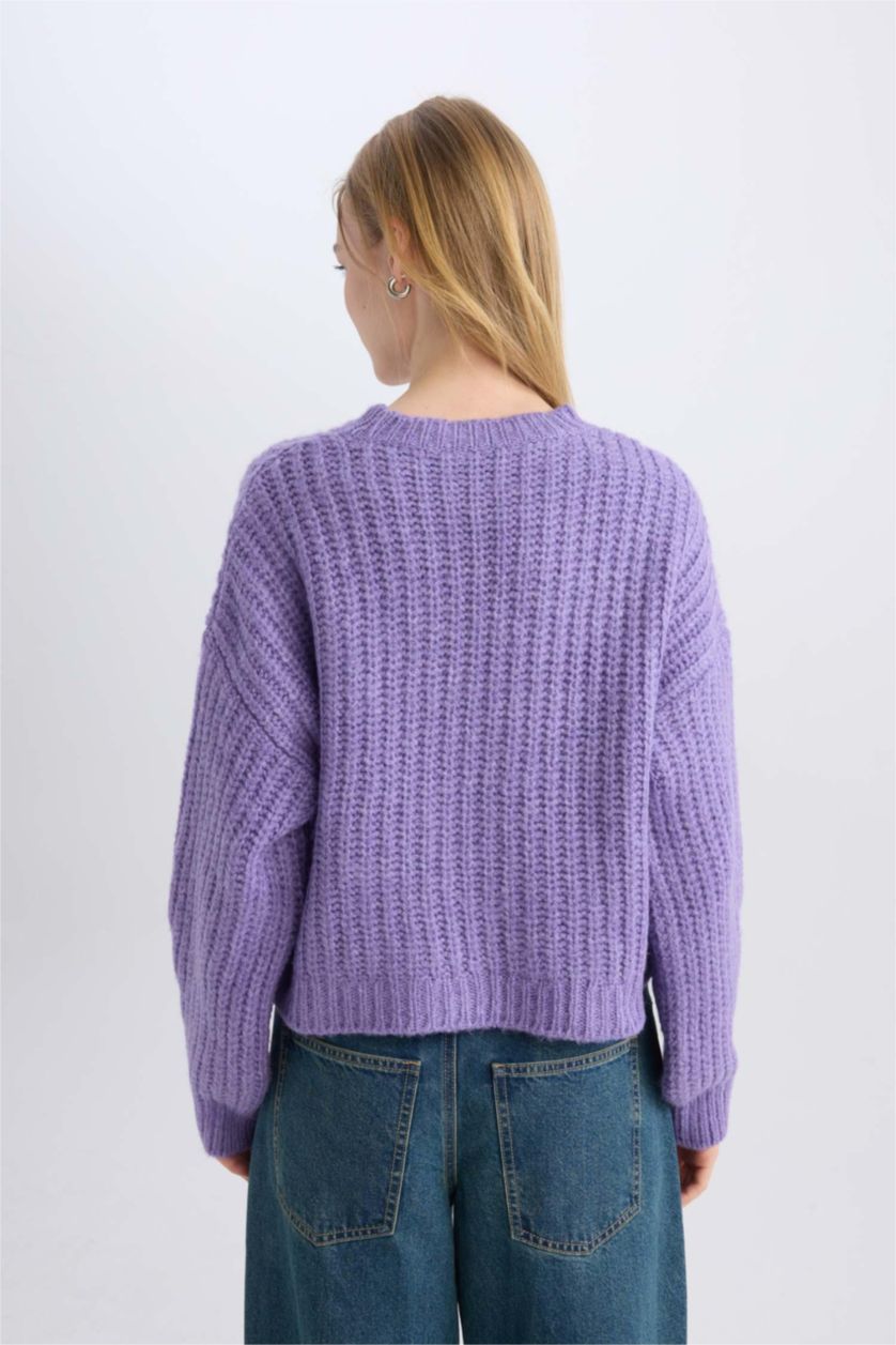 Women Dark Lilac Oversize Fit Knitwear Pullover