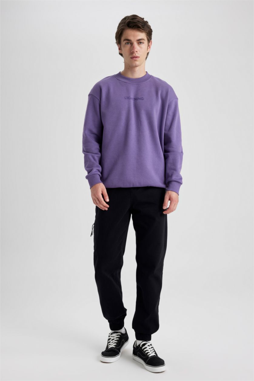 Erkek Pembe Boxy Fit Bisiklet Yaka Baskılı Sweatshirt