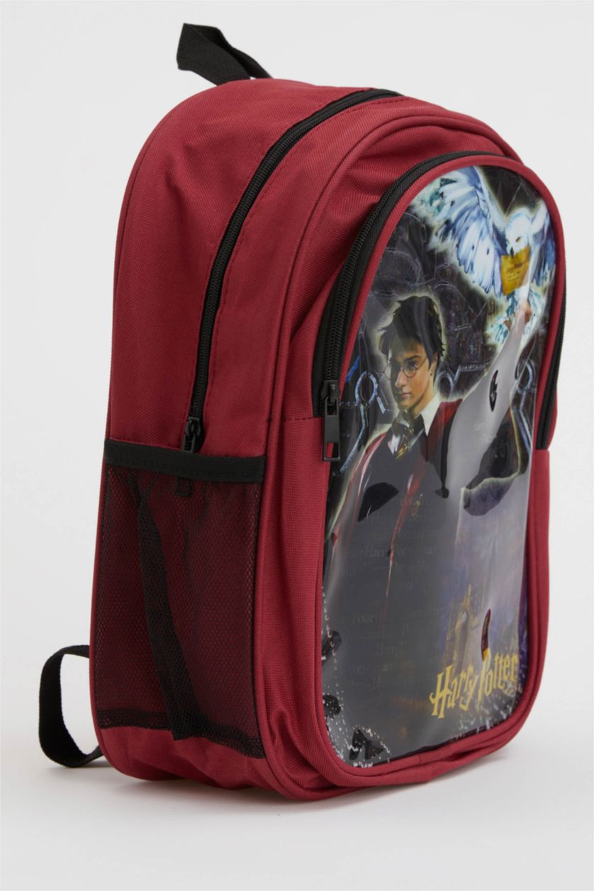 GIRLS & TEENS Bordo Girl's Harry Potter Licensed Backpack