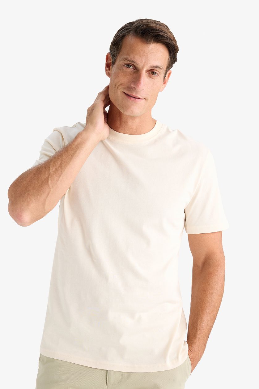 Man Light Stone New Regular Fit Crew Neck Basic T-Shirt