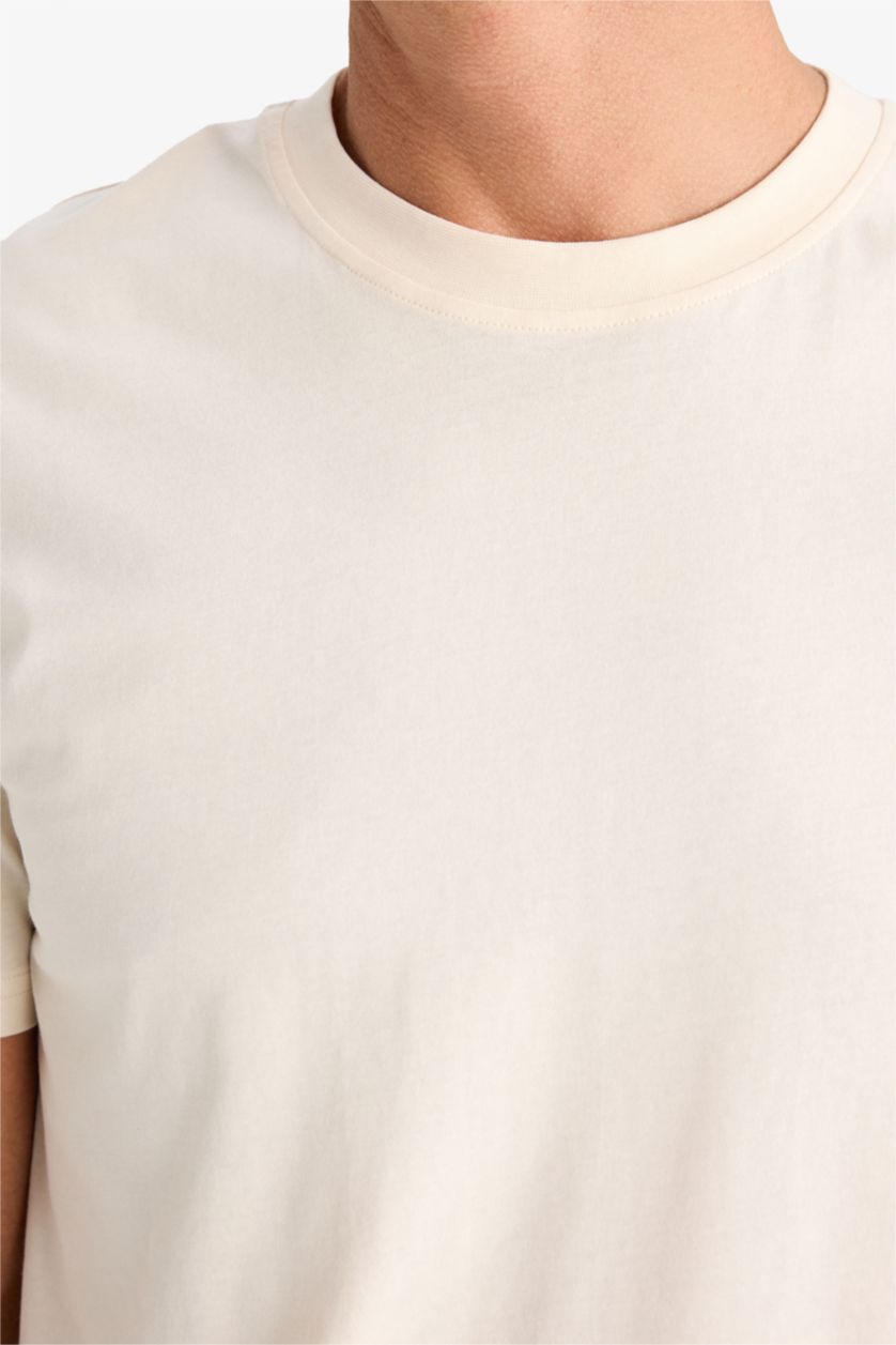 Man Light Stone New Regular Fit Crew Neck Basic T-Shirt